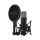 Mikrofon RODE NT1 Signature Black